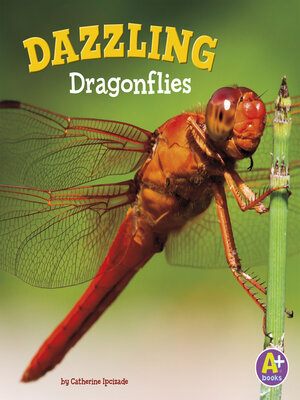 cover image of Dazzling Dragonflies